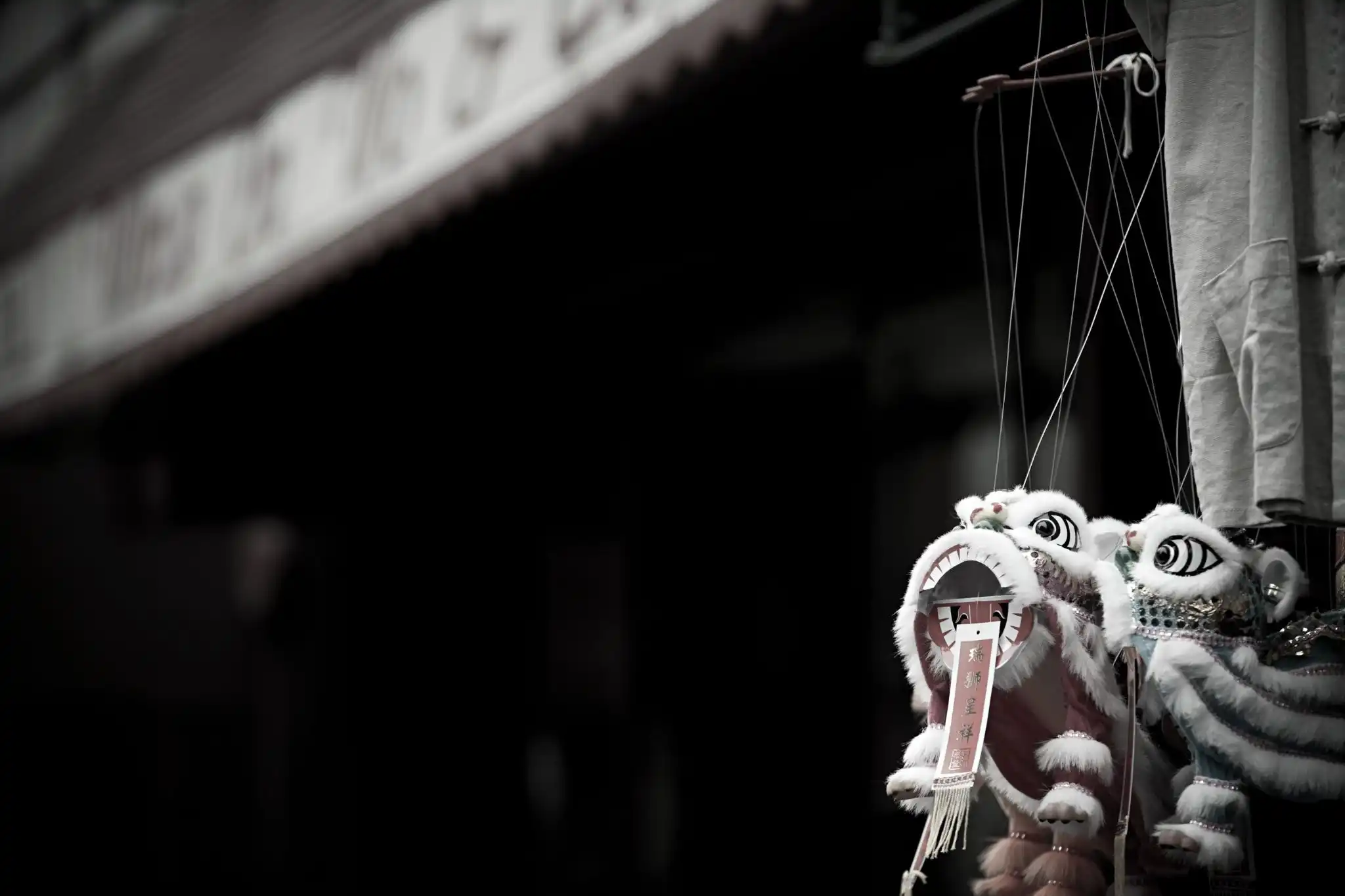 Southern vs Northern lion dance